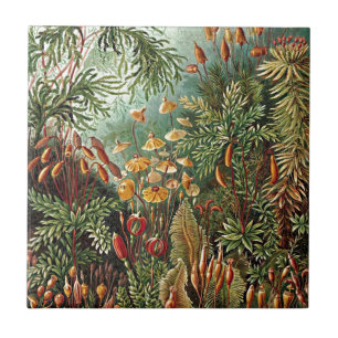 Haeckel Moss, Grass och Fungus Mushroom Painting Kakelplatta