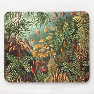Haeckel Moss, Grass och Fungus Mushroom Painting Musmatta