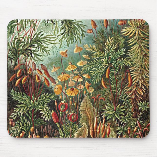 Haeckel Moss, Grass och Fungus Mushroom Painting Musmatta (Framsidan)