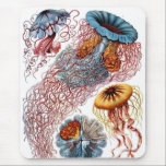Haeckel Musmatta<br><div class="desc">Haeckel mousepad.</div>