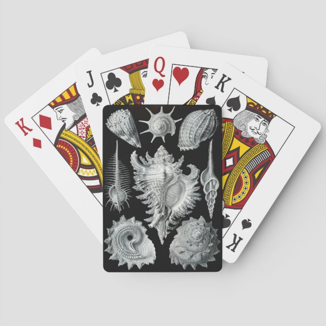Haeckel Negativ Casinokort (Baksidan)