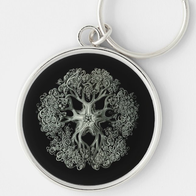 Haeckel Negativ Rund Silverfärgad Nyckelring (Framsidan)
