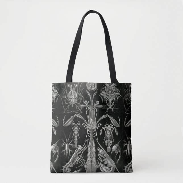 Haeckel Negativ Tygkasse (Framsida)