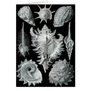 Haeckel Negativare Hälsningskort
