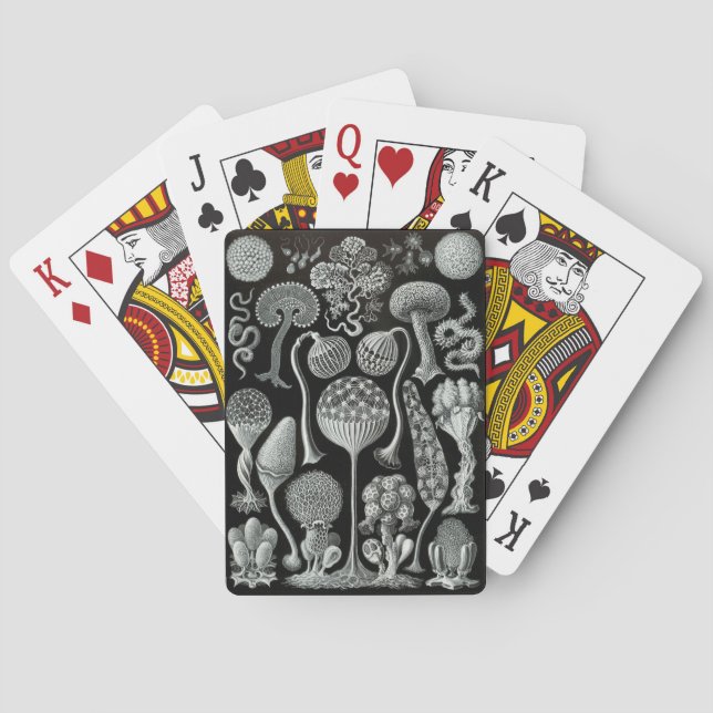 Haeckel Negative Casinokort (Baksidan)