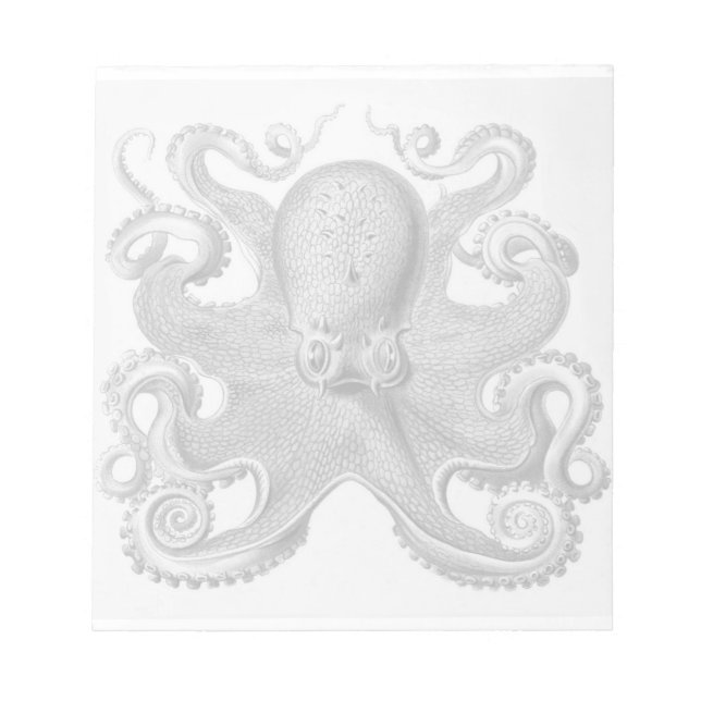 Haeckel Octopus Anteckningsblock (Framsida)