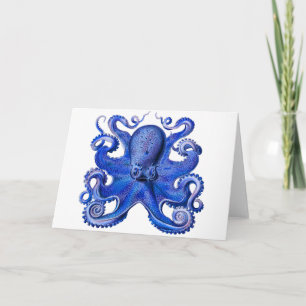 Haeckel Octopus Blue Kort