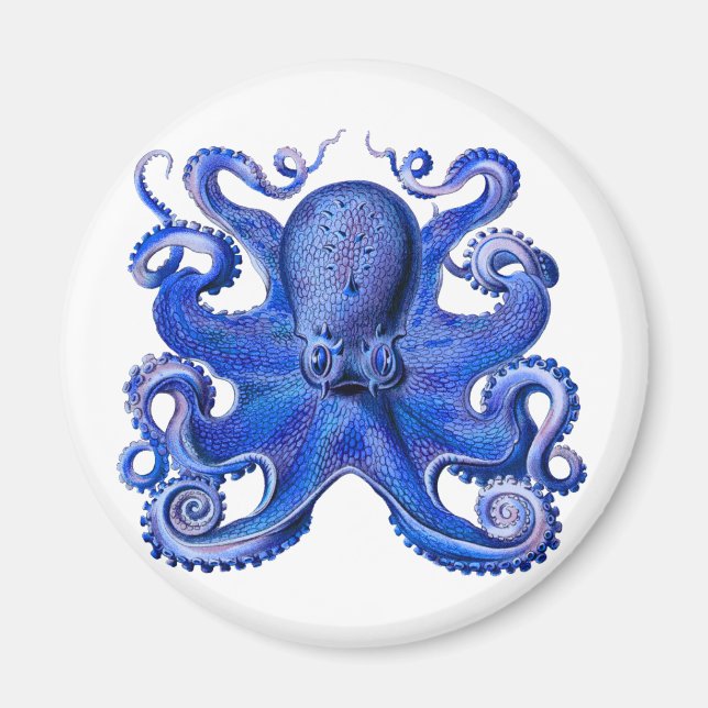 Haeckel Octopus Blue Magnet (Framsidan)