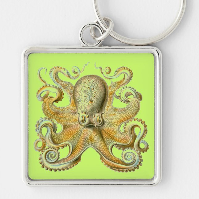 Haeckel Octopus Fyrkantig Silverfärgad Nyckelring (Framsidan)