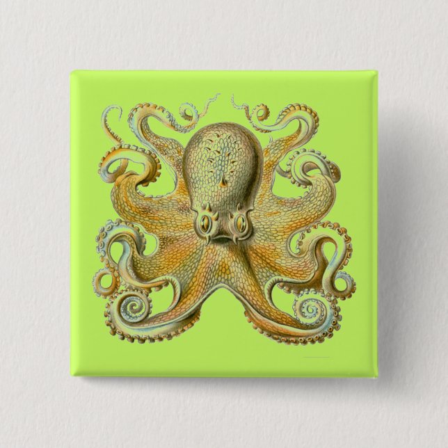 Haeckel Octopus Knapp (Framsida)
