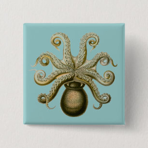 Haeckel Octopus Knapp