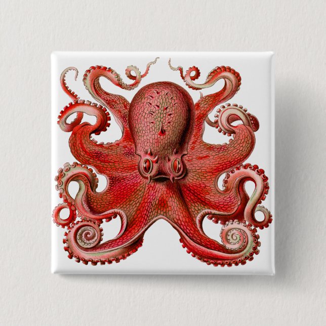 Haeckel Octopus Red Knapp (Framsida)