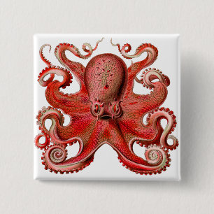 Haeckel Octopus Red Knapp