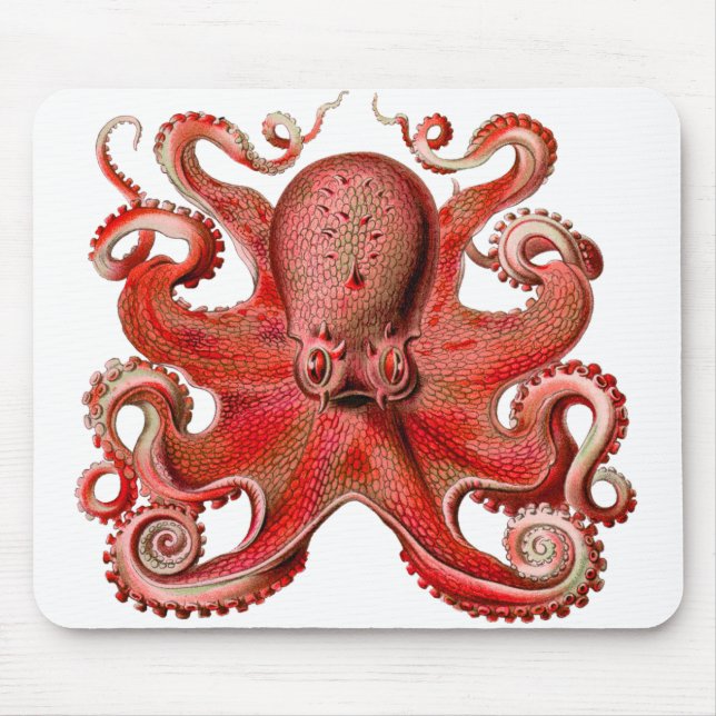 Haeckel Octopus Red Musmatta (Framsidan)