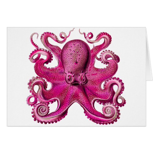 Haeckel Octopus Rosa Hälsningskort (Framsidan Horizontal)