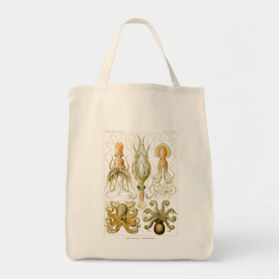 Haeckel Octopus Tygkasse