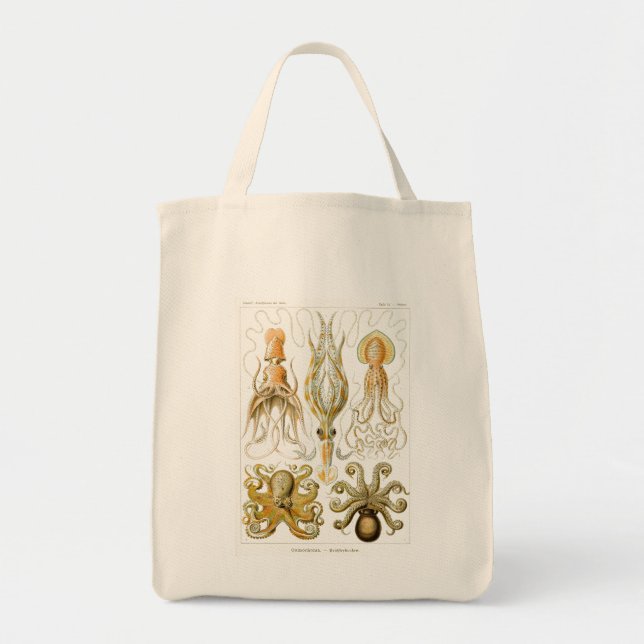 Haeckel Octopus Tygkasse (Framsidan)
