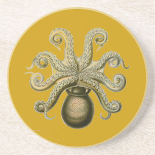 Haeckel Octopus Underlägg