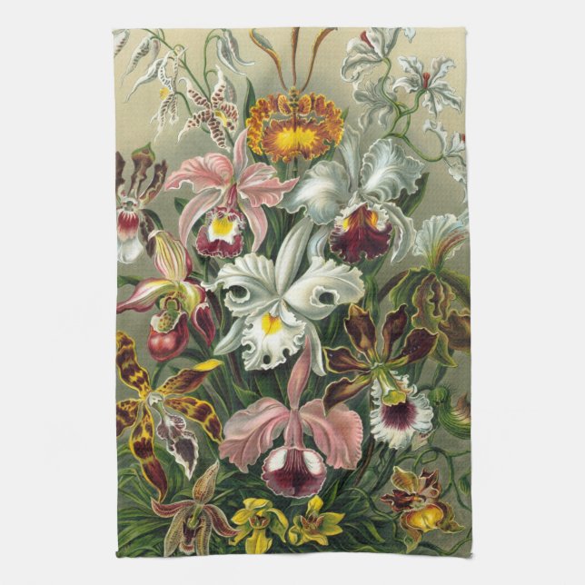 Haeckel Orchids Kökshandduk (Vertikal)