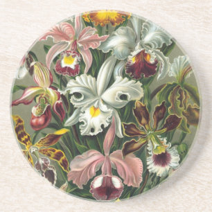 Haeckel Orchids Underlägg Sandsten