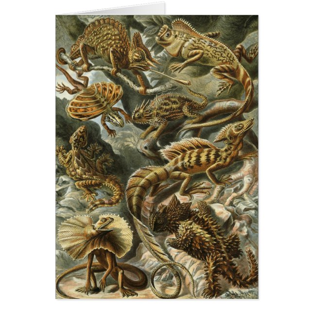Haeckel Reptiles Hälsningskort (Framsidan)
