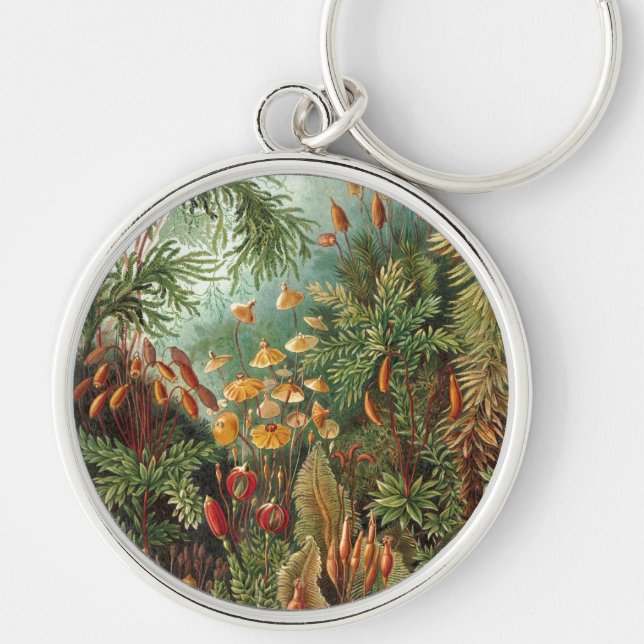 Haeckel Rund Silverfärgad Nyckelring (Framsidan)