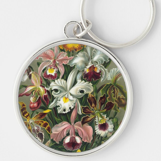 Haeckel Rund Silverfärgad Nyckelring (Framsidan)