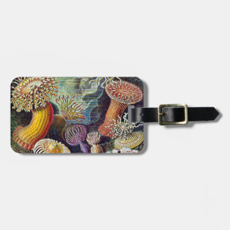 Haeckel Sea Anemone Ocean Life Nature Art Painting Bagagebricka