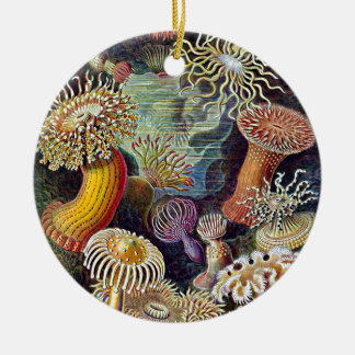 Haeckel Sea Anemone Ocean Life Nature Art Painting Julgransprydnad Keramik