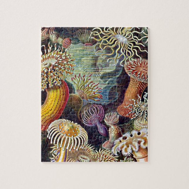 Haeckel Sea Anemone Ocean Life Nature Art Painting Pussel (Vertikal)