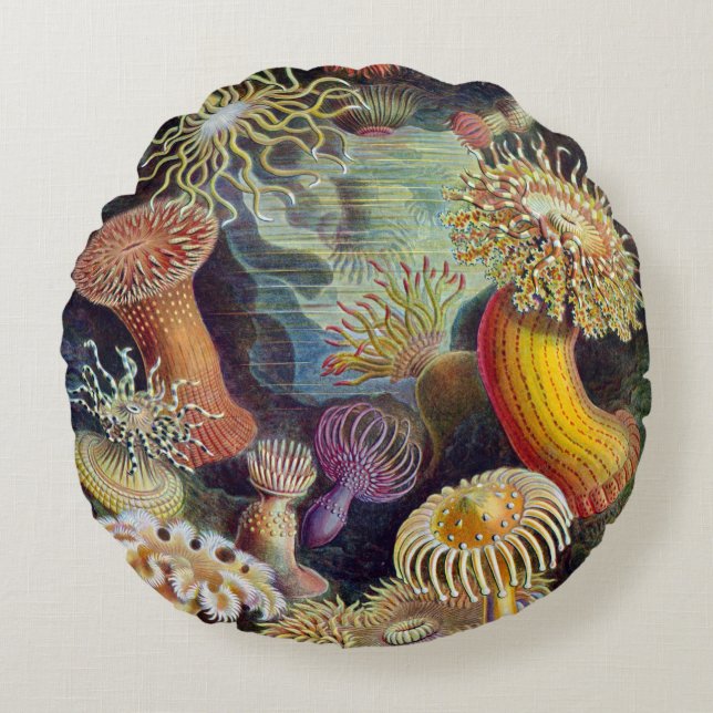 Haeckel ~ Sea Anemones Cushions Rund Kudde (Framsidan)