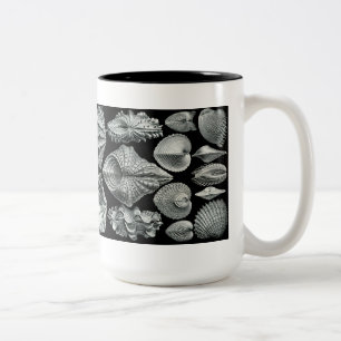 Haeckel snäckamugg Två-Tonad mugg