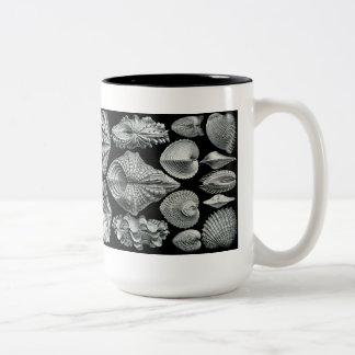 Haeckel snäckamugg Två-Tonad mugg