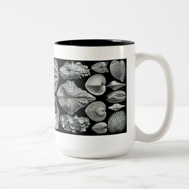 Haeckel snäckamugg Två-Tonad mugg (Höger)
