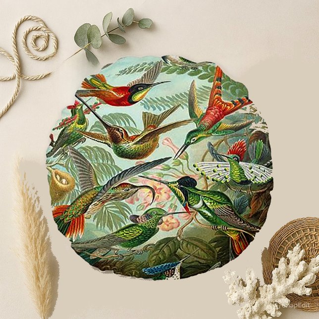 Haeckel Trochilidae Hummingbird Rund Kudde (Skapare uppladdad)