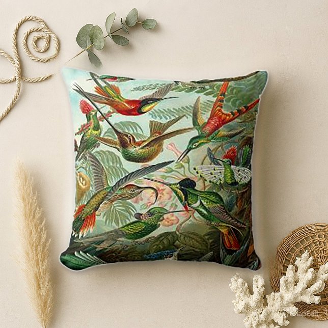 Haeckel TrochilidaeHummingbirds Kudde (Skapare uppladdad)