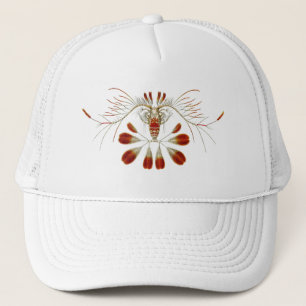 Haeckel Truckerkeps