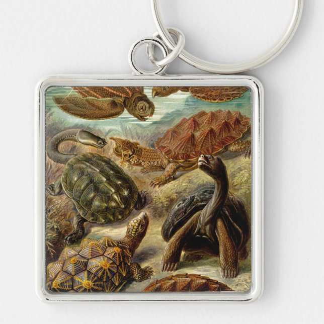 Haeckel Turtles Fyrkantig Silverfärgad Nyckelring (Framsidan)