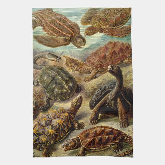 Haeckel Turtles Kökshandduk (Vertikal)