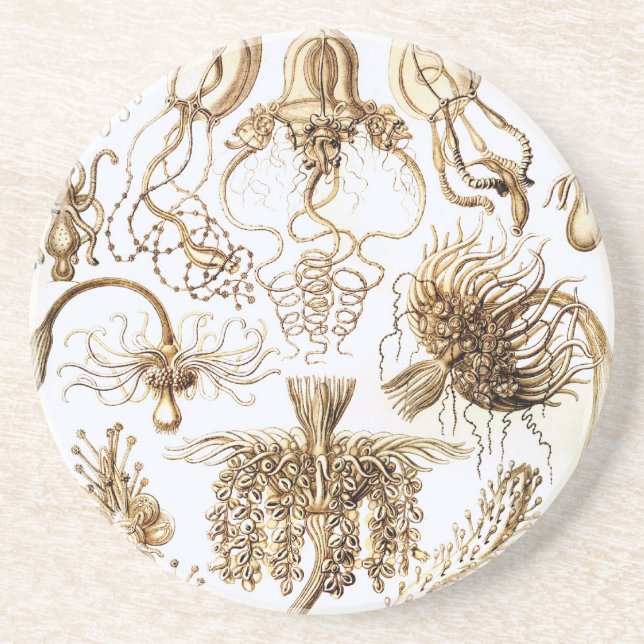 Haeckel Underlägg (Framsidan)
