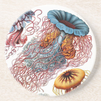 Haeckel Underlägg