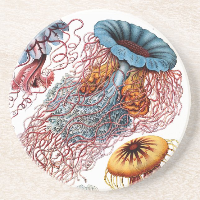 Haeckel Underlägg (Framsidan)
