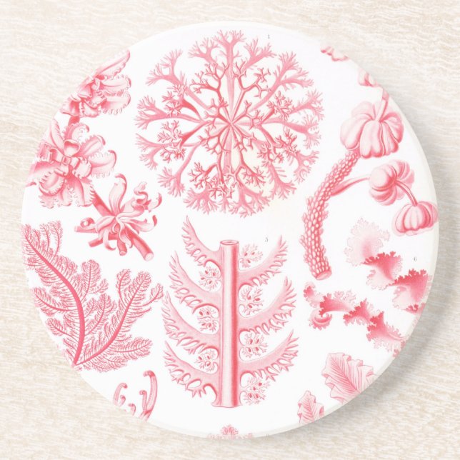 Haeckel Underlägg Sandsten (Framsidan)