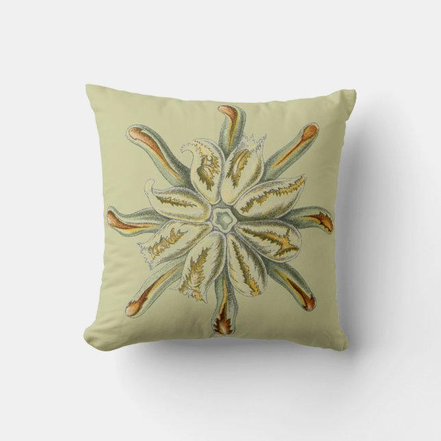 Haeckel vintagesjöliv kudde (Framsida)