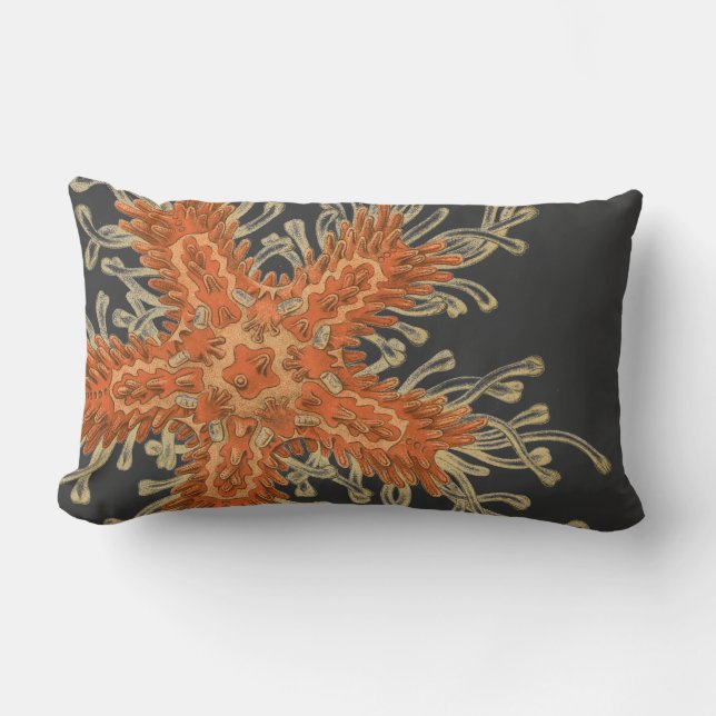 Haeckel vintagesjöliv lumbarkudde (Framsida)