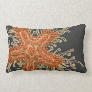 Haeckel vintagesjöliv lumbarkudde