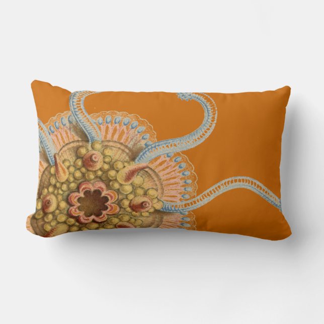 Haeckel vintagesjöliv lumbarkudde (Framsida)
