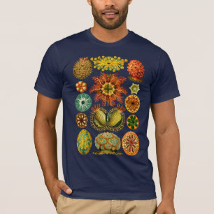 HAECKELS ASCIDIACEA - T-tröja T-shirt