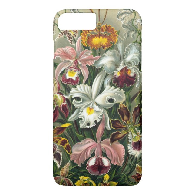 Haeckels färgrik OrchidLithograph Case-Mate iPhone Skal (Baksida)