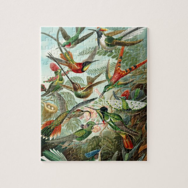 Haeckels Hummingbird Jigszle Puzzle Pussel (Vertikal)